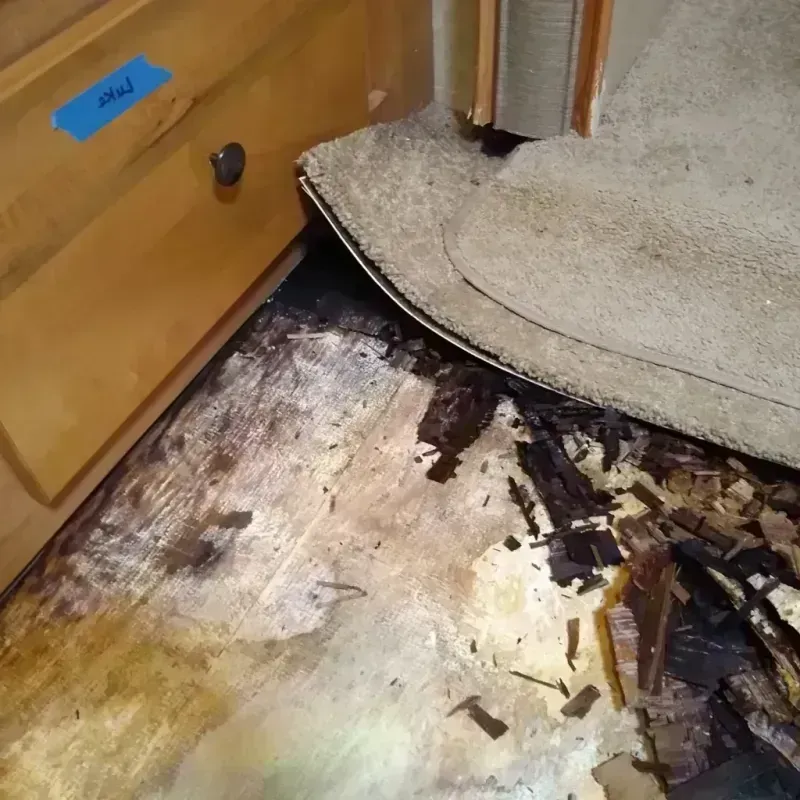 Wood Floor Water Damage in Seymour, WI